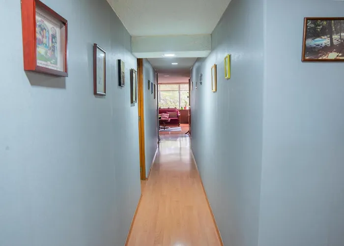 Quiet & Ideal Bedroom In Del Valle Apartment *